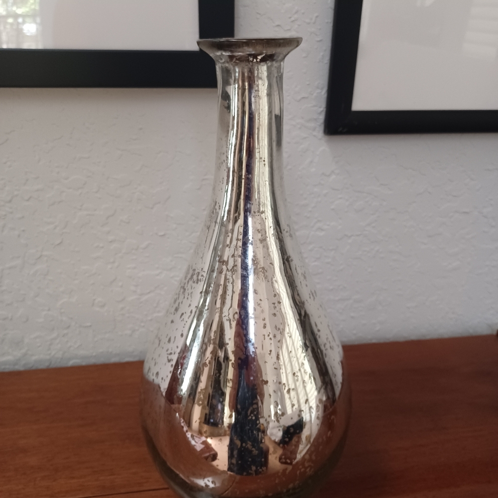 Pier 1 Mercury Glass Vase